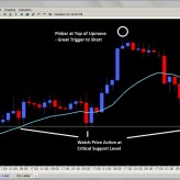 Forex Trade Signals and Setups Oct. 31st Forex Trade Signals and Setups Oct. 31st