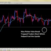 Forex Trade Signals and Setups Feb. 21st
