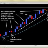 Forex Trade Signals and Setups Feb. 8th