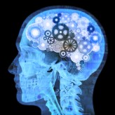 Developing a Successful Forex Trading Mindset Pt. 1 Developing a Successful Forex Trading Mindset Pt. 1