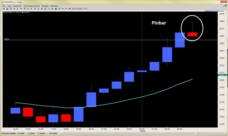 Forex bondi junction