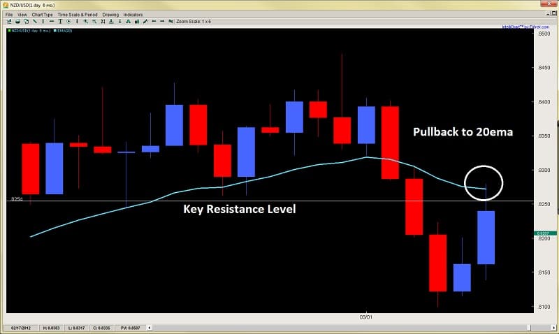 forex trading insights