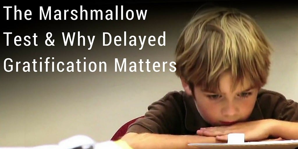 The Marshmallow Test & Why Delayed Gratification Matters