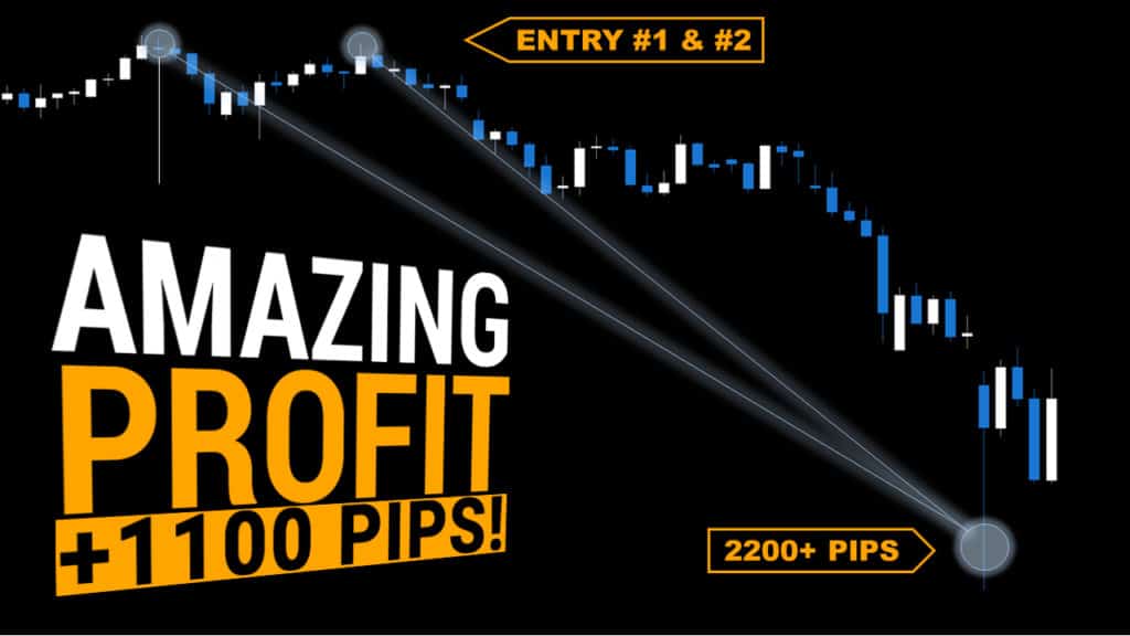 Top Forex Trade Review +1100 Pips NZDJPY