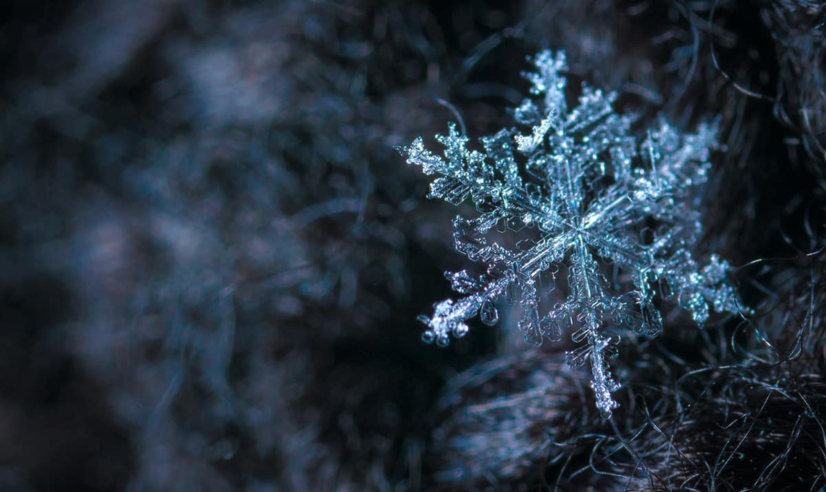 This Snowflake May Become A Snowman In The Next Decade, But There’s A Catch 01